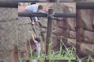 Bystanders Selamatkan Anak yang Jatuh ke Kandang Satwa di Disney Animal Kingdom Lodge