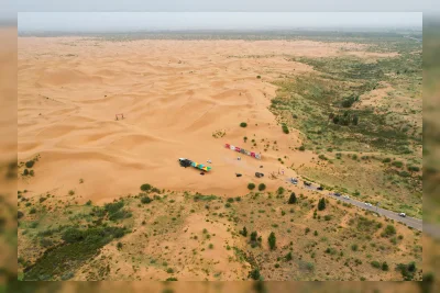 Fenomena Aneh di Balik 66 Miliar Pohon di Tembok Hijau China