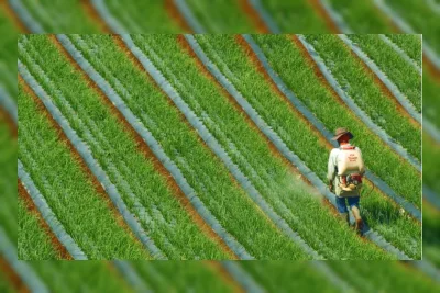 Lahan Pertanian Berpotensi Jadi Penyerap Karbon, Penelitian Ungkap Caranya