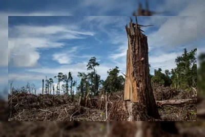 Lintas Iman Dorong Pengesahan RUU Masyarakat Adat untuk Lindungi Hutan