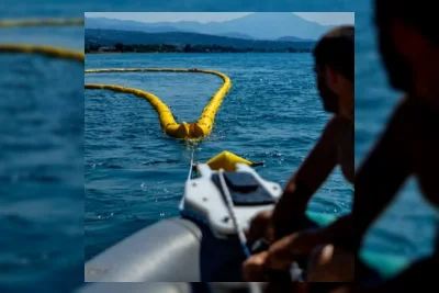 Ikan Buntal Beracun Serbu Mediterania, Warga Was-was