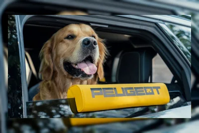 Peugeot E-5008 Dog Edition: Konsep Mobil Ramah Anjing dengan Fitur Pencari Anjing Hilang