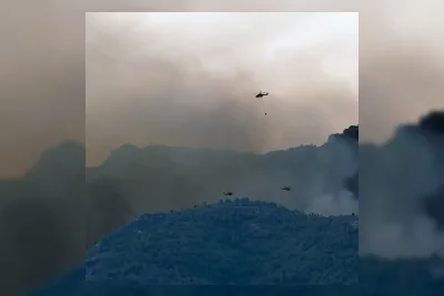 Kebakaran Hutan di Almeria, Spanyol Selatan Tewaskan 12 Orang