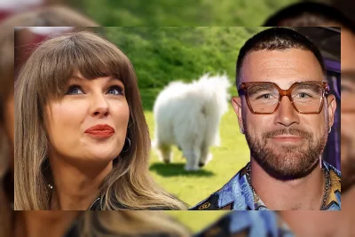 Anjing Baru Taylor Swift dan Travis Kelce Diduga Terlihat di Jet Pribadi