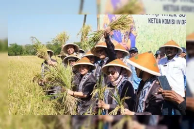 Sinergi BULOG dan Komisi IV DPR Dorong Kesejahteraan Petani