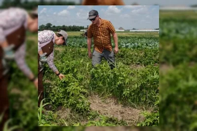 Pemotongan Dana USDA Trump Hancurkan Petani Kecil Iowa