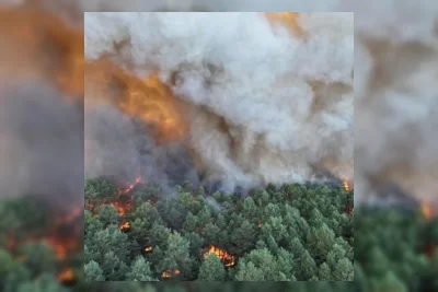 Kebakaran Hutan di Fontainebleau Hanguskan 800 Hektare, Evakuasi Dilakukan