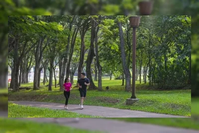BSD City Semakin Hijau, Ruang Terbuka Hijau Capai 30% dan Raih Pengakuan Dunia