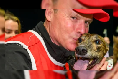 Miss Envy Cetak Sejarah di Queensland Cup, Pastikan Gelar Greyhound Terbaik WA