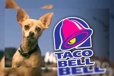 Pengisi Suara Chihuahua Taco Bell Masih Makan di Sana, Tapi Peringatkan 'Hati-hati'