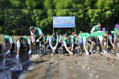 BAF Tanam 20 Ribu Mangrove di Jawa Tengah, Lanjutkan Gerakan Hijau