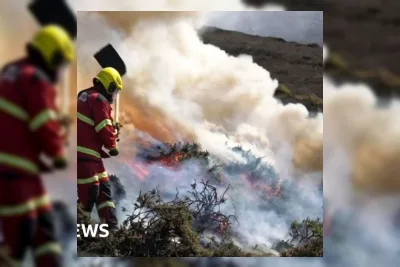 Kebakaran Hutan Melanda Inggris, Kepala Pemadam Kebakaran Peringatkan Tekanan Ekstrem