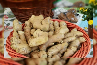 Penelitian DNA Bantu Selamatkan Jahe Endemik Pulau Jawa yang Terancam Punah