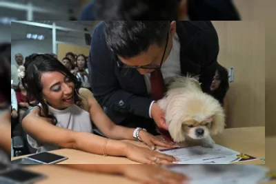 Viral, Pengantin di Ekuador Jadikan Anjing Peliharaan Saksi Resmi Pernikahan