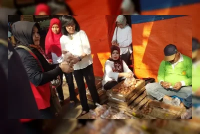 Wamentan: Pelaku Usaha yang Rugikan Peternak Ayam dan Telur Siap Disanksi Pidana