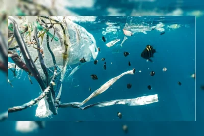 Mikroplastik Tembus Lautan Dalam, Keseimbangan Ekosistem Laut Terganggu