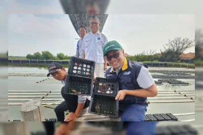 Kelompok Tani Totoran Hasilkan 958 Kg Kepiting Soka, Tembus Pasar Domestik dan Ekspor