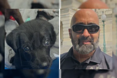 Anak Anjing Calon Polisi Capitol Hill Curi Perhatian