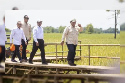 Prabowo Pimpin Panen Raya Serentak di 43 Titik Seluruh Indonesia