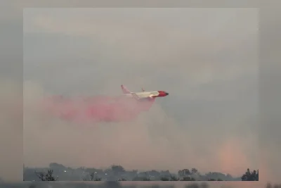 Thorn Fire Capai 10 Persen Terkendali, Evakuasi Berlanjut