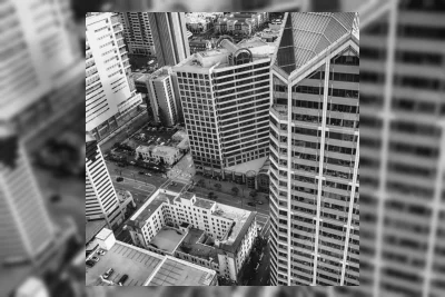 820 Burung Disita dari Properti di San Diego karena Dugaan Kekejaman