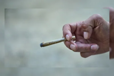 Pentagon Tegaskan Ganja Tetap Terlarang bagi Personel Militer Meski Aturan Federal Berubah