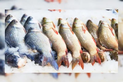 Kepala hingga Sisik Ikan Bernilai Ekonomis, Pakar IPB Ungkap Potensinya