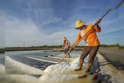 DPR Minta Impor Garam Dibatasi, Industri Diminta Serap Produksi Lokal