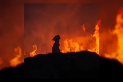 California Percepat Mitigasi Kebakaran Hutan di Tengah Ancaman Pemotongan Dana