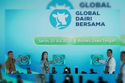 Investasi Peternakan Sapi Perah Terbesar di Indonesia Dimulai di Brebes