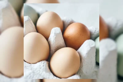 Midwest Poultry Services Tarik 19 Juta Telur karena Risiko Salmonella