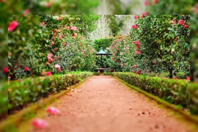 Itinerary Liburan Seharian di Bogor: Hemat Rp 500 Ribu untuk Berdua