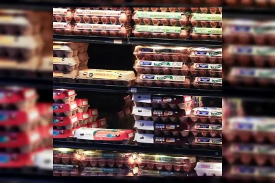 Midwest Poultry Tarik 19 Juta Telur karena Risiko Salmonella