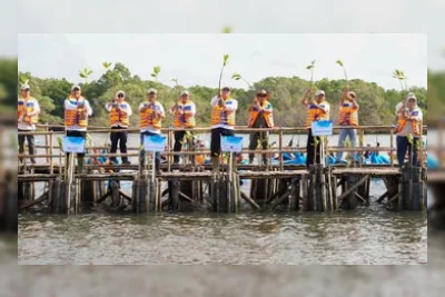Bank BSN Pantau Rehabilitasi Mangrove di Bali untuk Jaga Kelestarian