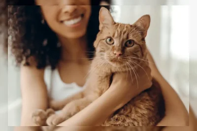 Trik Sederhana untuk Berkomunikasi dengan Kucing Anda