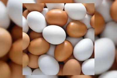 Kasus Salmonella Meluas, Penarikan Telur 1,6 Juta Karton Terdampak