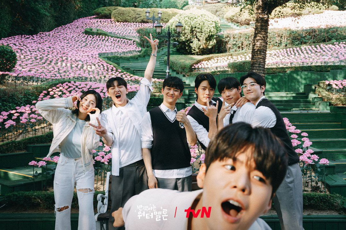 Twinkling Watermelon Episode Preview: When, Where And How, 55% OFF