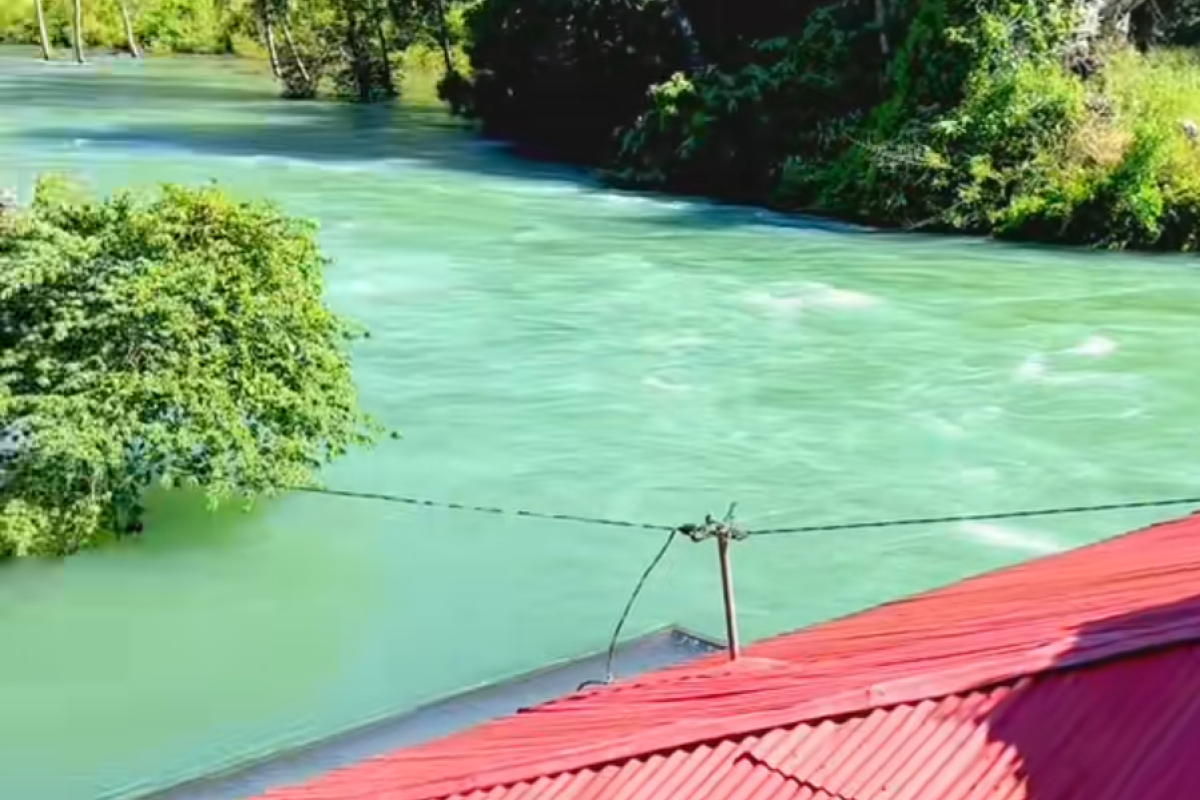 Mengapa Air Danau Singkarak Tetap Jernih Meski Sumatera Dilanda Banjir? Rahasia Alam yang Bikin Netizen Takjub