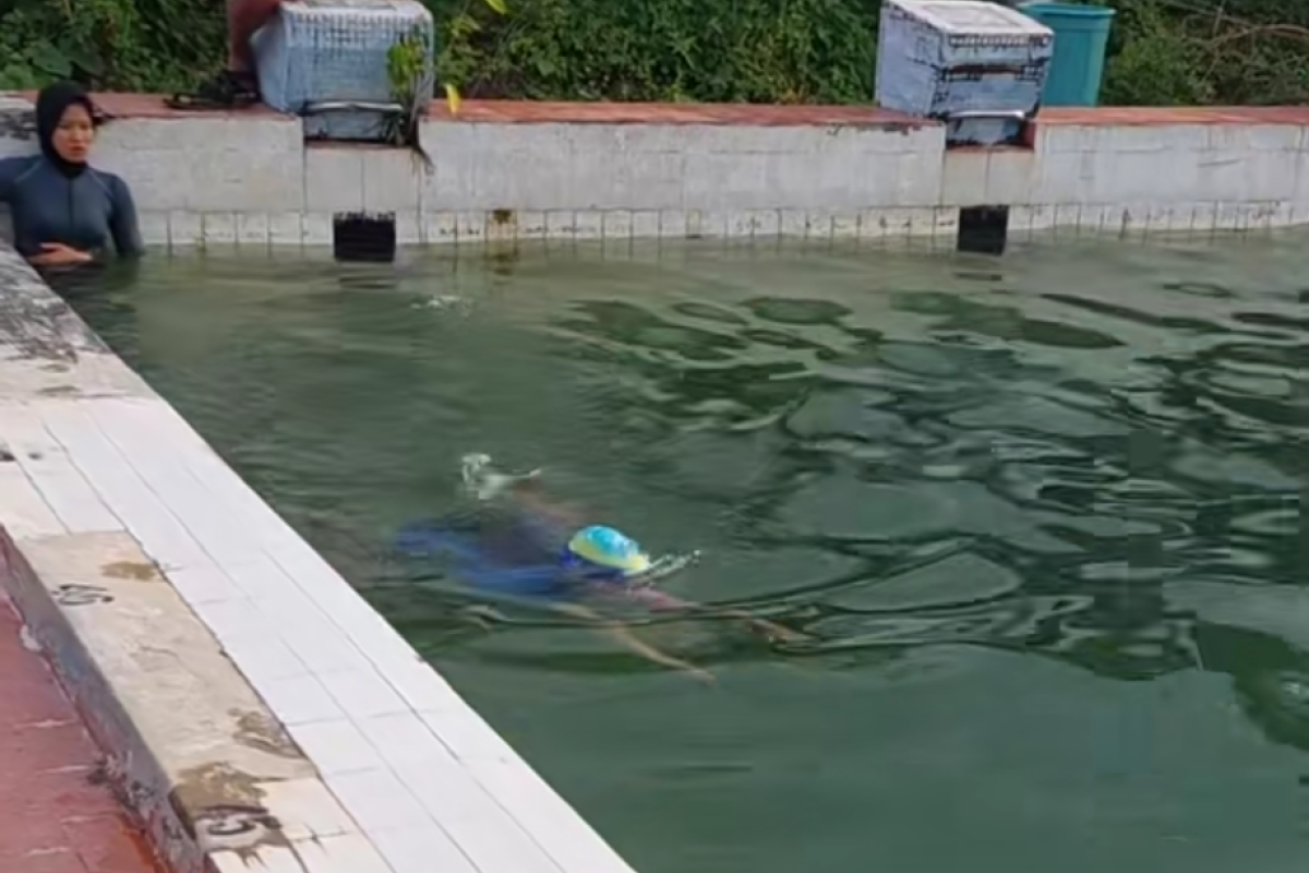 Kolam Renang KONI Sario Manado: 25 Tahun Tak Pernah Dikuras, Atlet Masih Berenang di Air Hijau Keruh!