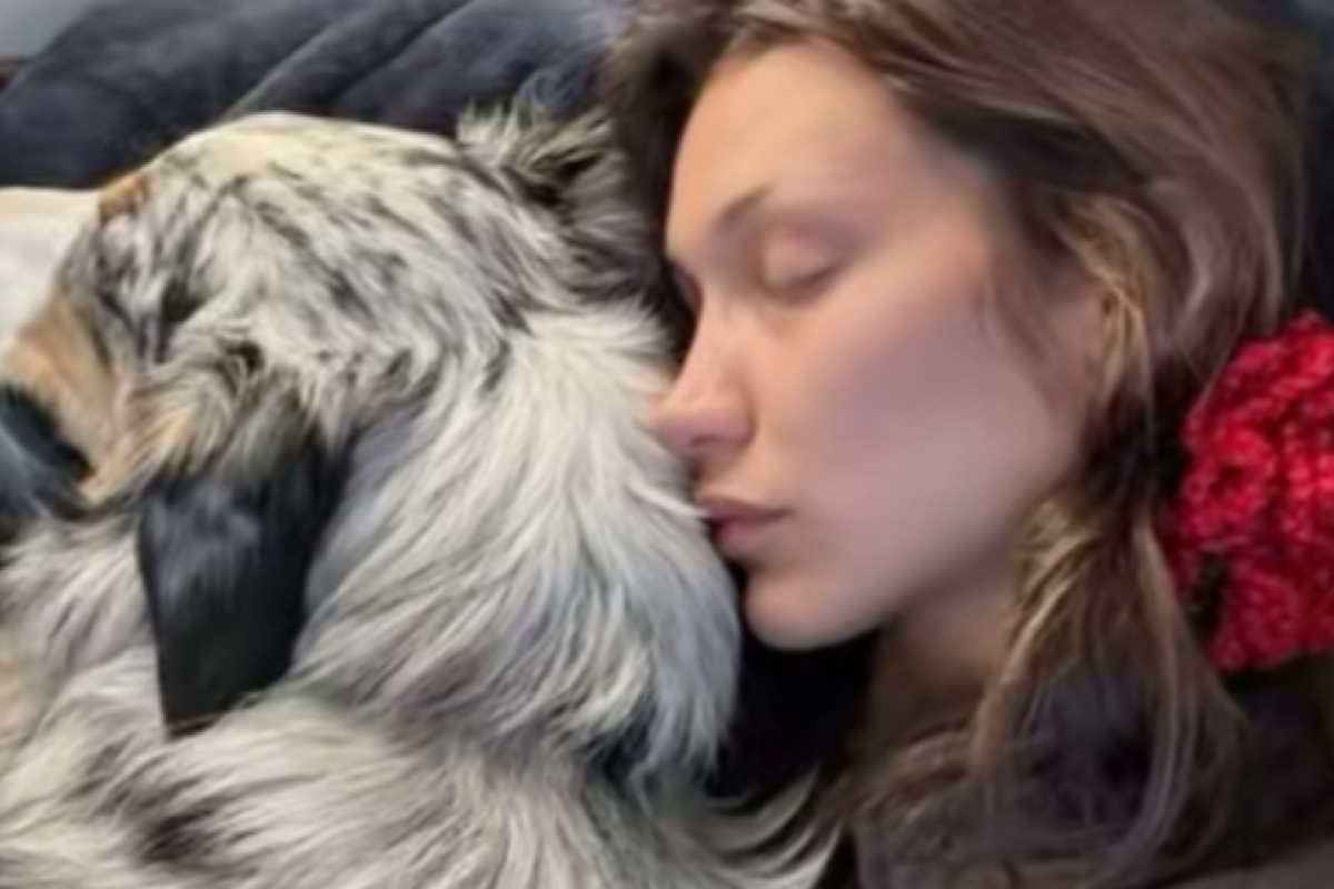 Bella Hadid Kembali Jalani Perawatan Intensif untuk Penyakit Lyme: Perjuangan Panjang Supermodel Dunia yang Tak Pernah Berhenti