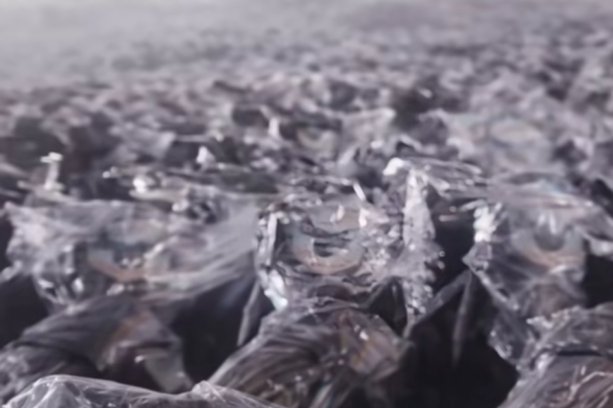 Penyaluran Motor Listrik SPPG Disorot Warganet, Dikaitkan dengan Program MBG