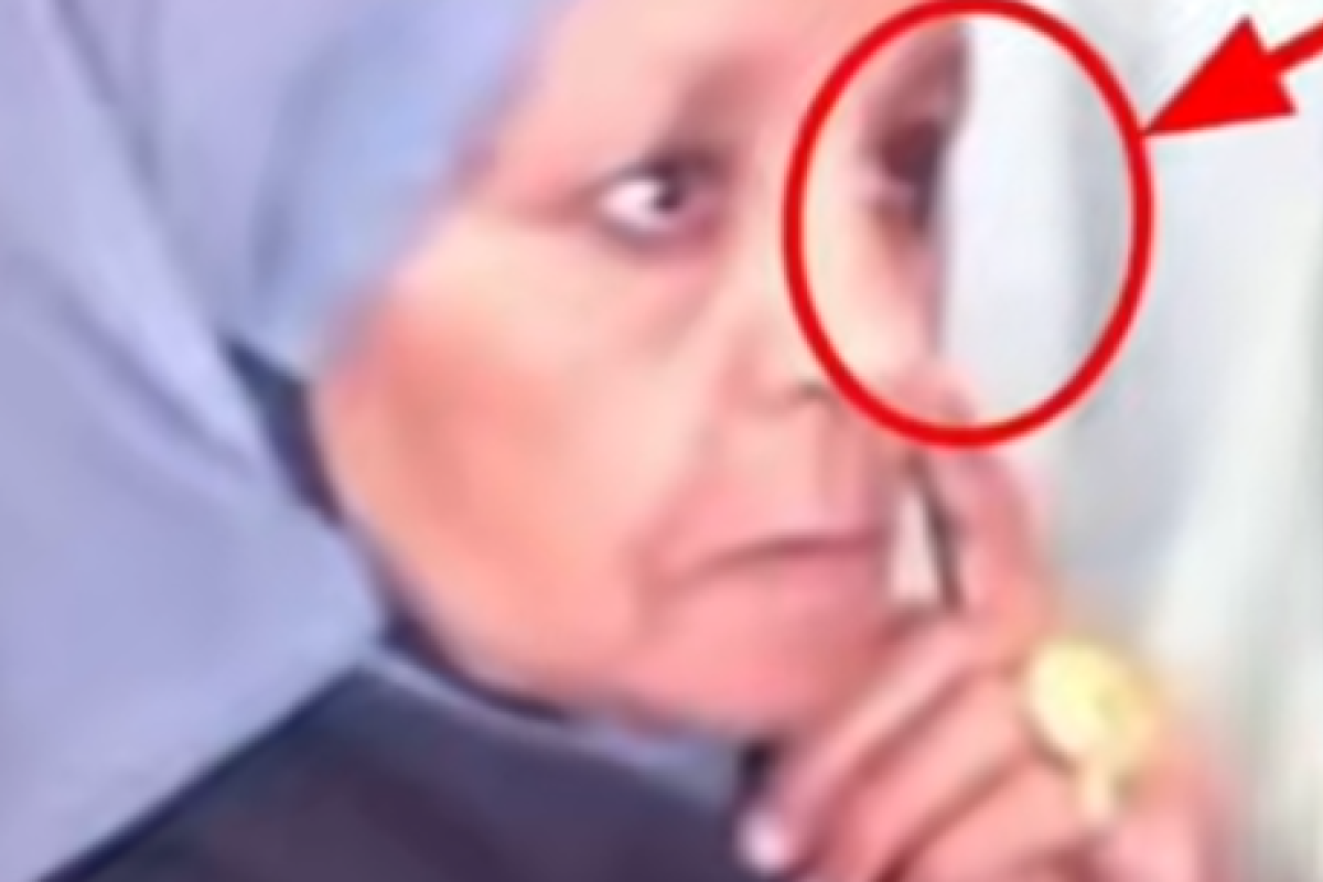 Misteri Wanita Paspor Torenza yang Gemparkan Dunia Maya Akhirnya Terungkap: Ini Fakta Sebenarnya di Balik Hoaks Viral!