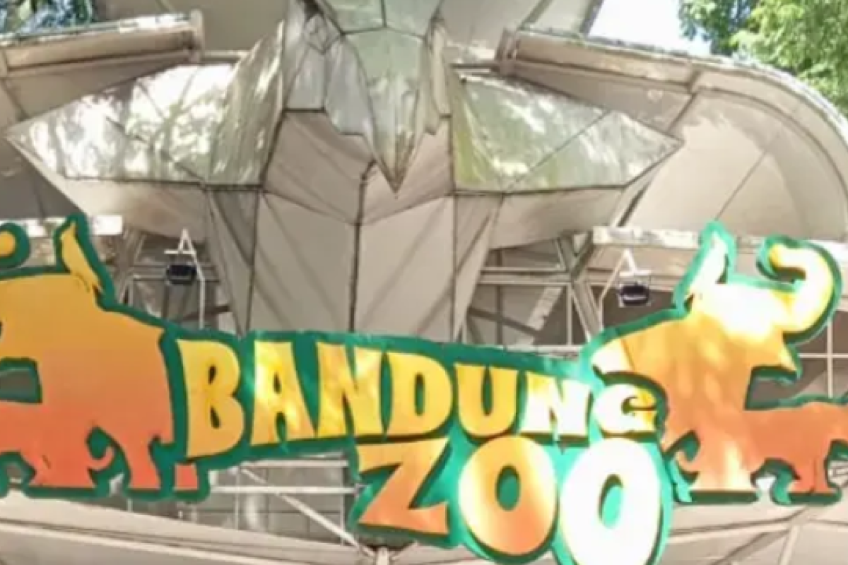 Polemik Bandung Zoo Tak Kunjung Usai, Benarkah Satwa Alami Stres?