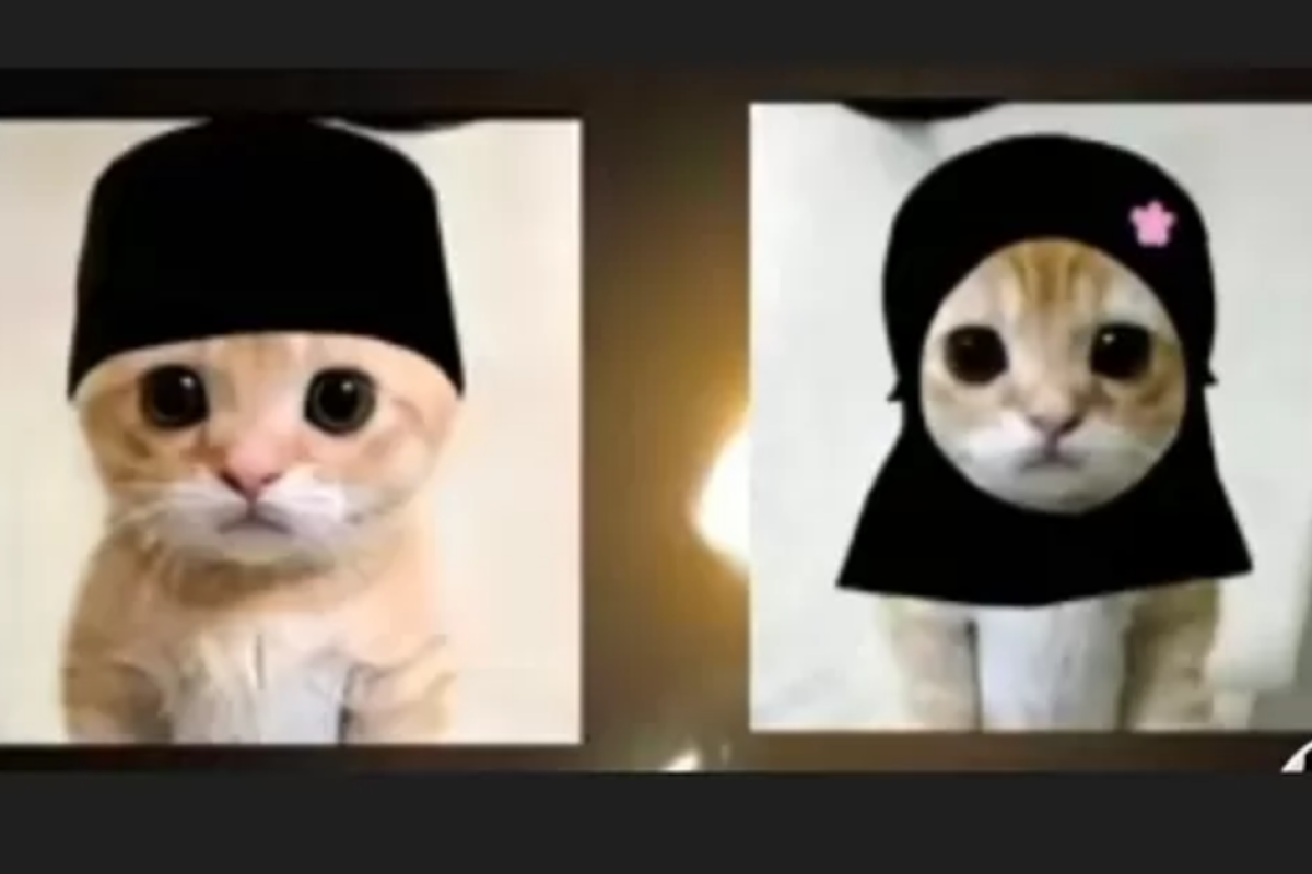 Viral TikTok! Kumpulan Link Download PP Kucing Ramadhan Berhijab dan PP Kucing Ramadhan Perempuan Mukena dan Cowok Bersongkok