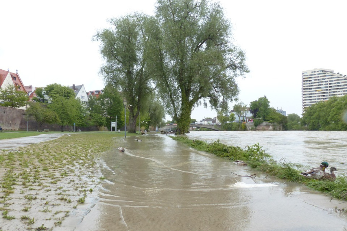 Jakarta Kembali Diguyur Hujan Deras, Transportasi dan Aktivitas Warga Terganggu