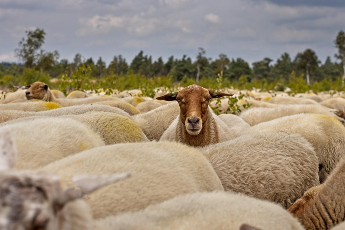 Aries Berani Tampil Beda dan Leo Diminta Lebih Tenang! Ramalan Zodiak Hari Ini 26 Januari 2026