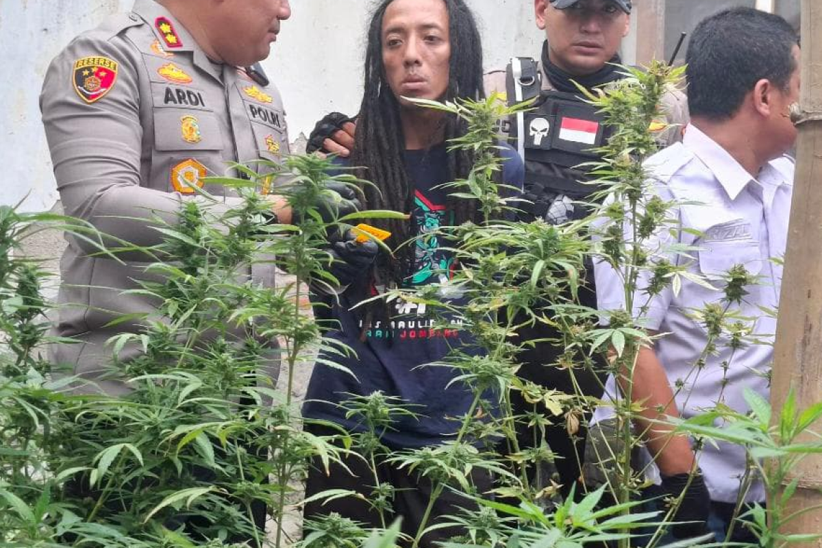 Profil Tampang Rama Petani Ganja di Jombang yang Resmi Ditangkap Polisi, Lengkap dari Umur, Agama dan Akun Instagram