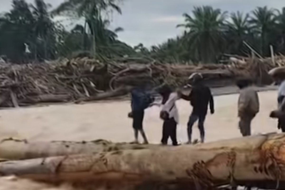 Gus Irawan Pasaribu Bupati Tapanuli Selatan Blak-blakan Soal Pembalakan Hutan Pasca Banjir Bandang: Sudah Surati Menteri Sejak Juli!