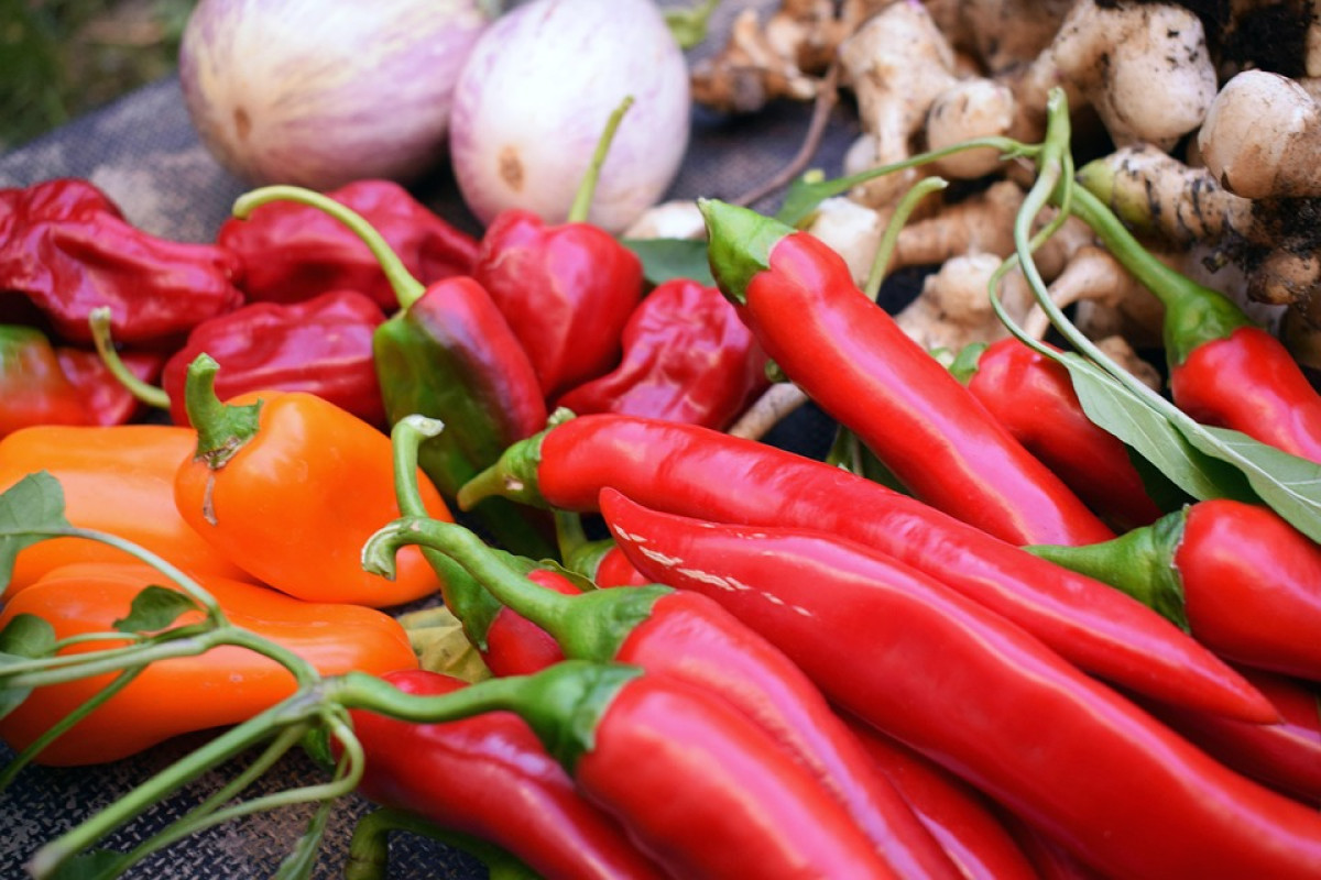 Harga Cabai Mulai Turun, Amran Optimis Stok Nasional Cukup Jelang Nataru 2025/2026