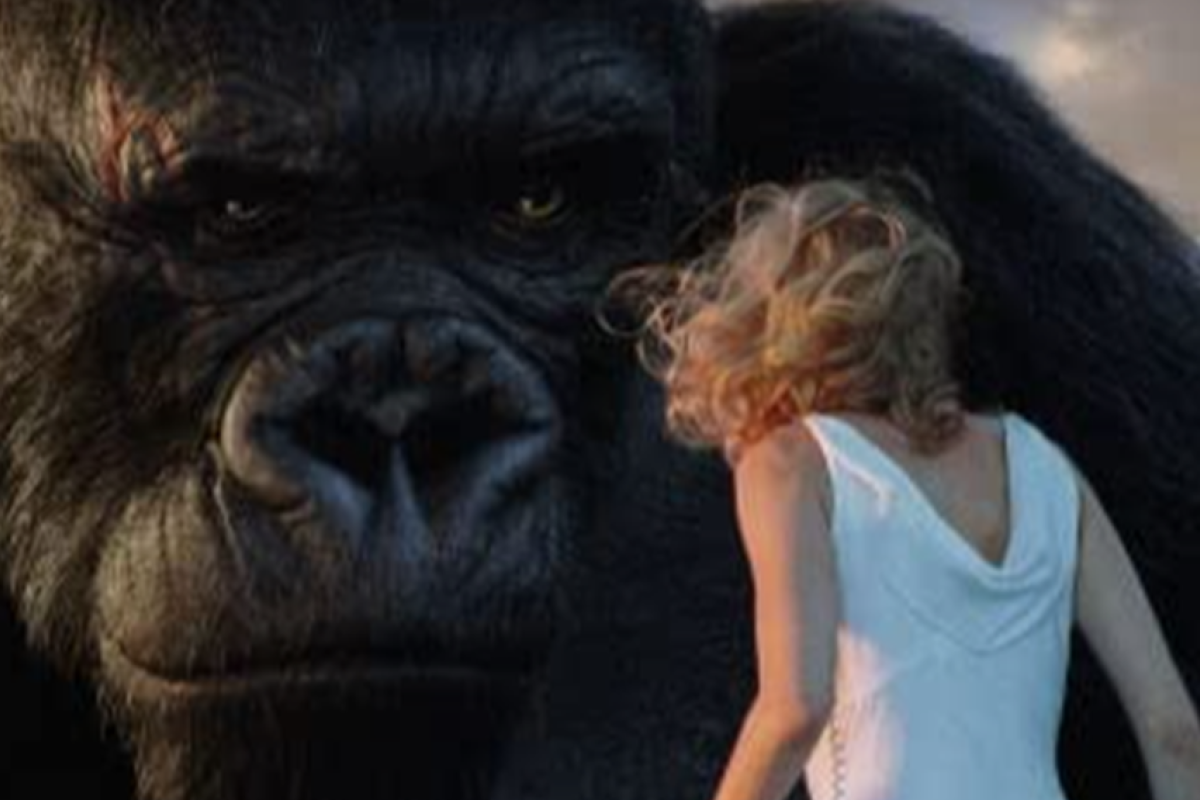 Jadwal Program Trans TV Hari ini 26 Desember 2025 Ambyar: Brownies, Insert dan Pagi-Pagi Ada Film King Kong (2005) dan Black Demon Plus Link